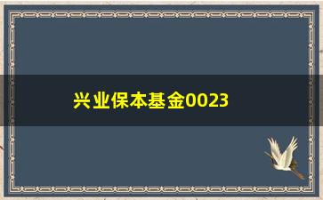 “兴业保本基金002338(兴业龙腾基金005706)”/