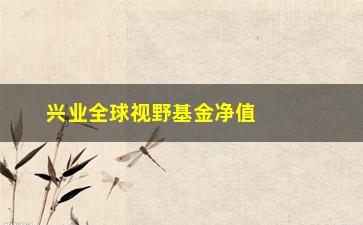 “兴业全球视野基金净值查询(兴全合润基金净值)”/