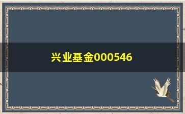 “兴业基金000546（了解这只基金的投资方法和收益情况）”/