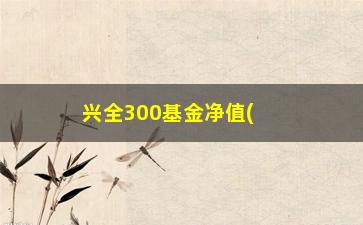 “兴全300基金净值(兴全300基金净值多少)”/