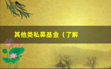 “其他类私募基金（了解私募基金市场中的其他类别）”/