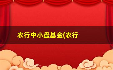 “农行中小盘基金(农行中小盘基金有哪些)”/