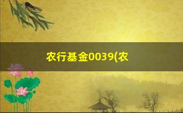 “农行基金0039(农行0039基金净值)”/