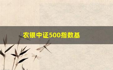 “农银中证500指数基金(非银etf)”/