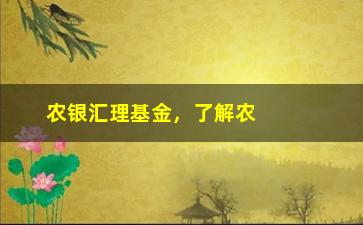 “农银汇理基金，了解农银汇理基金的基本信息”/