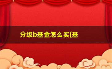 “分级b基金怎么买(基金分级a与b有何区别)”/