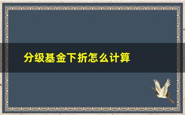 “分级基金下折怎么计算(分级基金下折怎么计算收益)”/