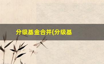 “分级基金合并(分级基金合并什么意思)”/