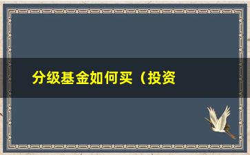 “分级基金如何买（投资分级基金的注意事项）”/