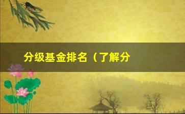 “分级基金排名（了解分级基金排名及其相关指标）”/