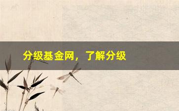 “分级基金网，了解分级基金网站的相关信息”/