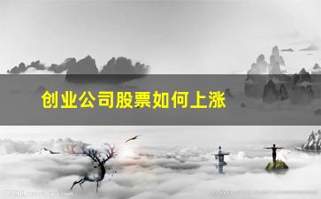 “创业公司股票如何上涨(创业公司股票有用吗)”/