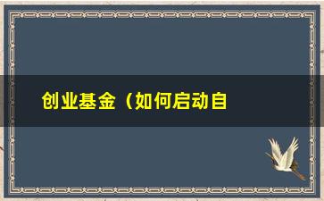 “创业基金（如何启动自己的创业基金）”/