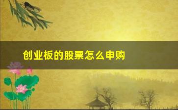 “创业板的股票怎么申购新股(创业板股票怎么买)”/