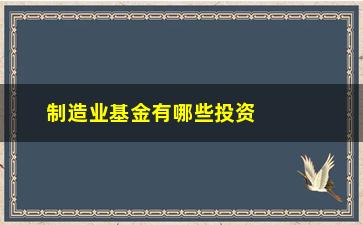 “制造业基金有哪些投资方式和风险控制步骤？”/