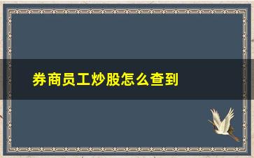 “券商员工炒股怎么查到(券商员工炒股)”/