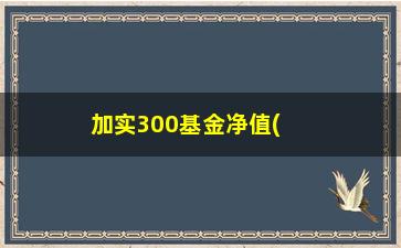 “加实300基金净值(60706嘉实300分红)”/