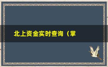 “北上资金实时查询（掌握北上资金动向，紧跟市场脉搏）”/