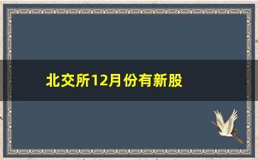 “北交所12月份有新股申购吗(北交所12月份有新股申购吗为什么)”/