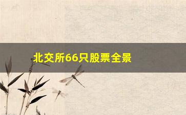 “北交所66只股票全景扫描，市场行情分析与投资建议”/