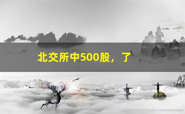 “北交所中500股，了解北交所中500股的投资价值”/