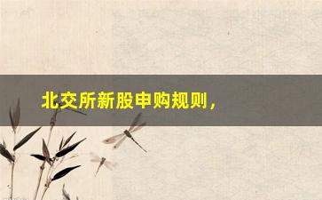 “北交所新股申购规则，详解北交所新股申购规则及注意事项”/