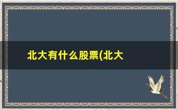 “北大有什么股票(北大医疗股票)”/