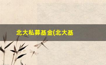 “北大私募基金(北大基金会理事长)”/