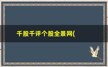 “千股千评个股全景网(千股千评30天专家点评)”/