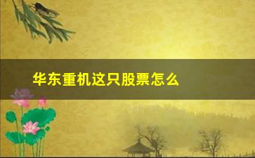 “华东重机这只股票怎么样(华东重机这只股票怎么样知乎)”/