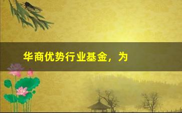 “华商优势行业基金，为何备受投资者青睐？（从这三个方面解读）”/