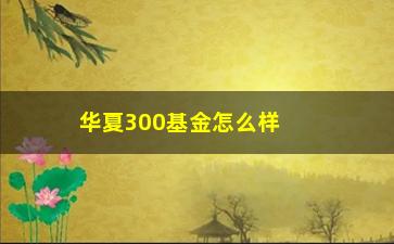 “华夏300基金怎么样（介绍华夏300基金的表现和投资风险）”/