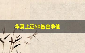 “华夏上证50基金净值(华夏上证50基金净值多少)”/