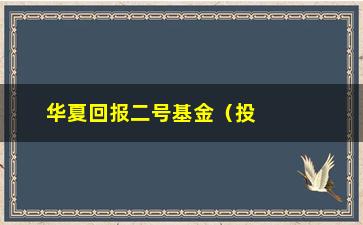 “华夏回报二号基金（投资理财新选择）”/