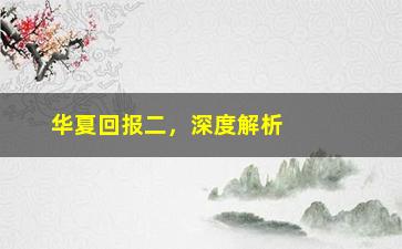 “华夏回报二，深度解析华夏回报二的投资策略”/