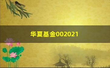 “华夏基金002021（详解华夏基金002021的投资步骤和风险控制）”/