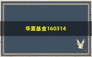 “华夏基金160314(华夏基金160314净值)”/