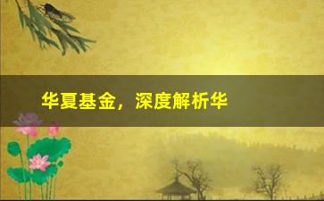 “华夏基金，深度解析华夏基金的投资理念和业绩表现”/