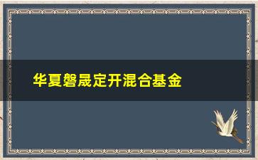 “华夏磐晟定开混合基金的投资风险和收益如何？”/