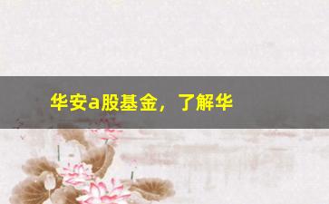 “华安a股基金，了解华安a股基金的投资策略和收益情况”/