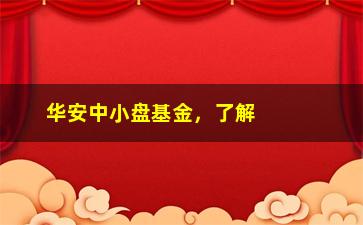 “华安中小盘基金，了解华安中小盘基金的投资优势”/