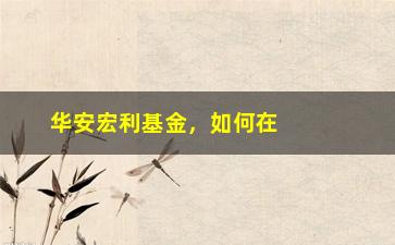 “华安宏利基金，如何在市场中脱颖而出？（步骤分析与实战经验分享）”/