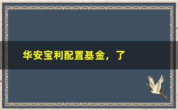 “华安宝利配置基金，了解华安宝利配置基金的投资策略与风险评估”/