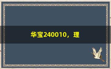 “华宝240010，理财产品介绍和投资策略分析”/