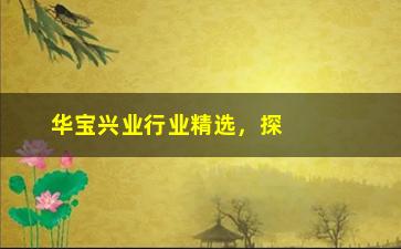 “华宝兴业行业精选，探究华宝兴业的投资策略和行业选择”/