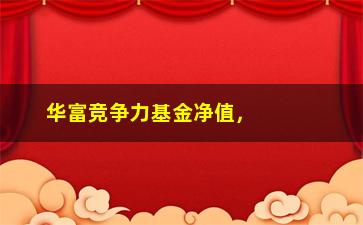 “华富竞争力基金净值，最新净值及投资策略分析”/