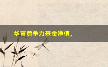 “华富竟争力基金净值，了解华富竟争力基金的最新净值情况”/