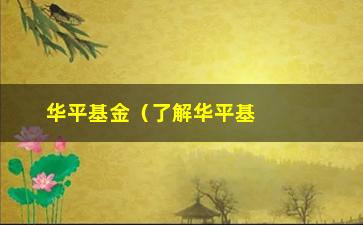 “华平基金（了解华平基金的投资理念和业绩表现）”/