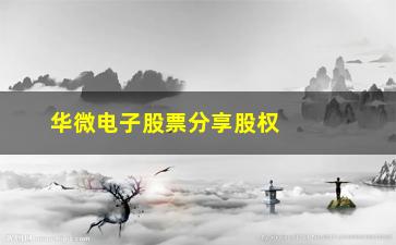 “华微电子股票分享股权分散对上市公司有什么影响”/