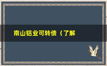 “南山铝业可转债（了解南山铝业可转债投资优势及风险）”/